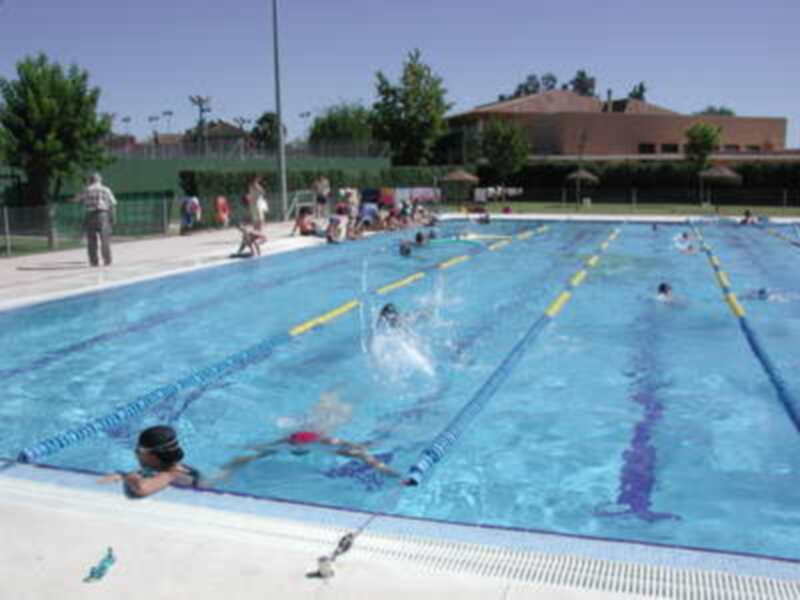 Competición de natación en una piscina al aire libre con nadadores en acción y espectadores en el borde.