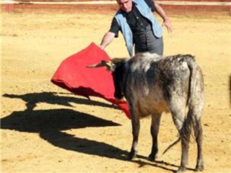 Un torero con una capa roja en la mano, enfrentándose a un toro en una plaza de toros.