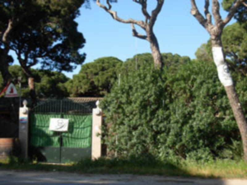 Puerta de entrada a un área verde con árboles y césped.