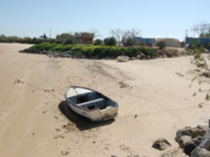 Un barco de pesca abandonado en una playa desértica con vegetación y edificios en el fondo.