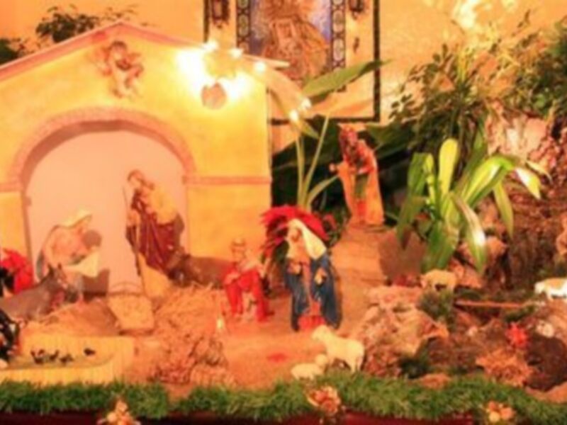 Escena navideña con un belén en el centro, rodeado de plantas y flores. La escena está iluminada con luces navideñas, creando un ambiente festivo.