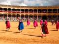 Una plaza de toros con una multitud en las gradas. Personas vestidas con capas rojas y azules caminan por el suelo rojizo. El cielo está nublado y las gradas están llenas de espectadores.