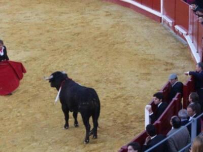 Ortega Cano debuta como apoderado de Julio Aparicio