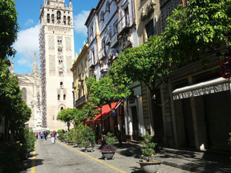 Elegante calle con edificios históricos y árboles verdes, con una señal de prohibido aparcar en el camino.
