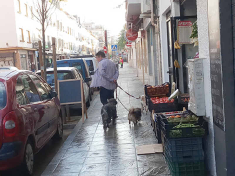 Una persona camina con dos perros en una calle de la ciudad, rodeada por tiendas y vehículos.