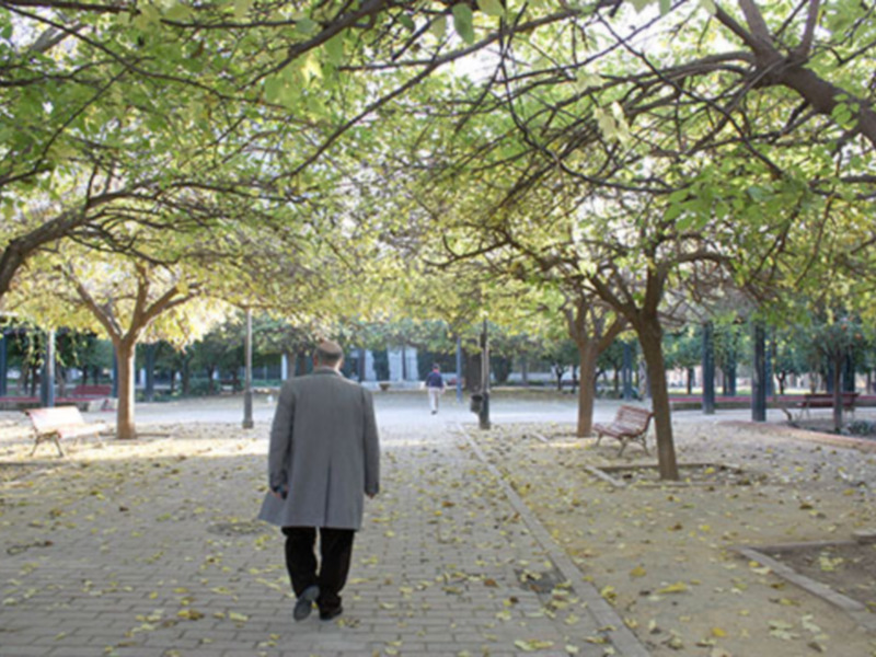 Persona caminando por un sendero arbolado con hojas caídas en un parque tranquilo.