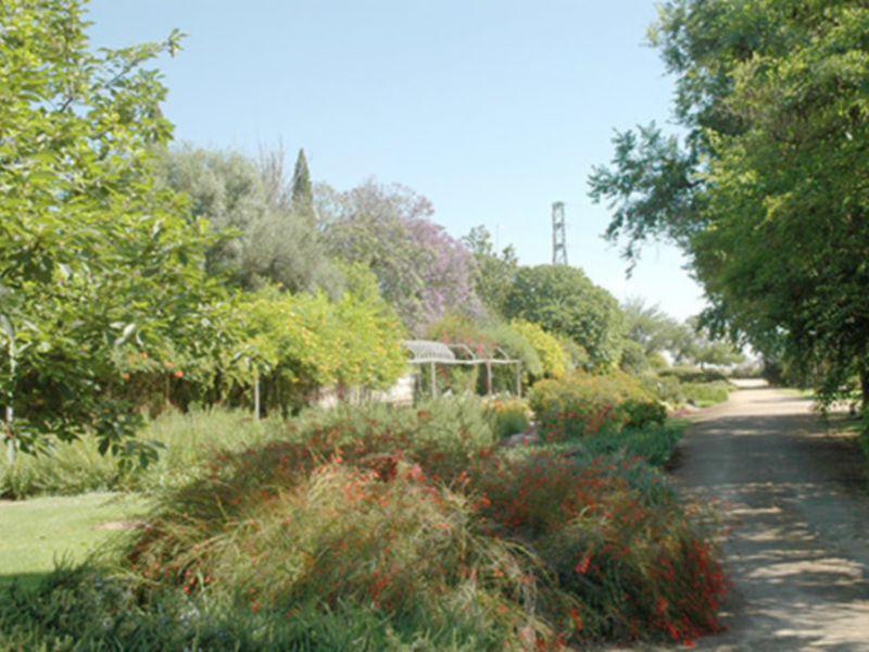 Jardín con árboles, arbustos y flores en un día soleado.