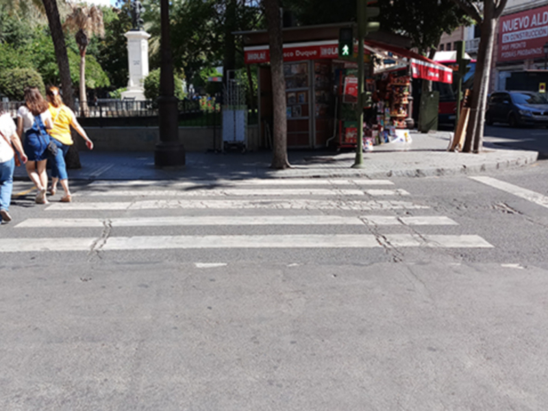 Un pequeño pájaro se encuentra en el centro de la imagen, cruzando una calle con un marcador de peatonal. La escena se desarrolla en un entorno urbano con edificios, tiendas y árboles al fondo.