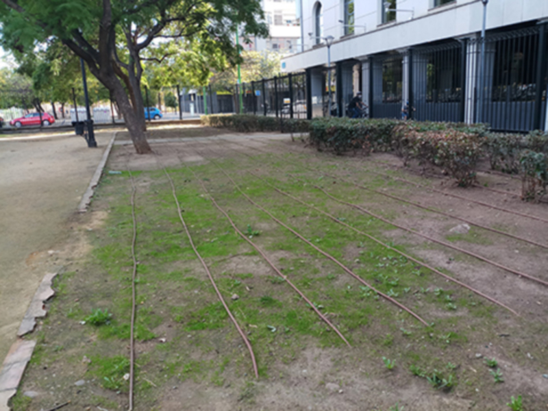 Una imagen de un parque con vías de tren antiguas, rodeadas por vegetación y edificios en el fondo.