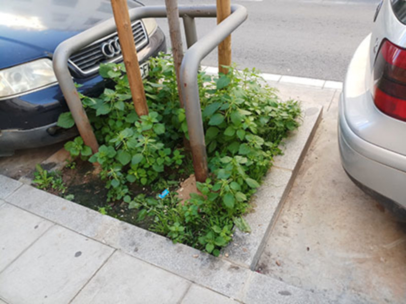 Pié de foto: Un poste de aparcamiento metálico con una vara de madera en la entrada. Detrás, se observa un pequeño huerto con vegetación verde y flores azules. A la izquierda, parte de un coche azul parado en el aparcamiento. En la derecha, se ve una parte de un coche blanco parado en el aparcamiento. El fondo muestra una calle con asfalto y un carril de coches.