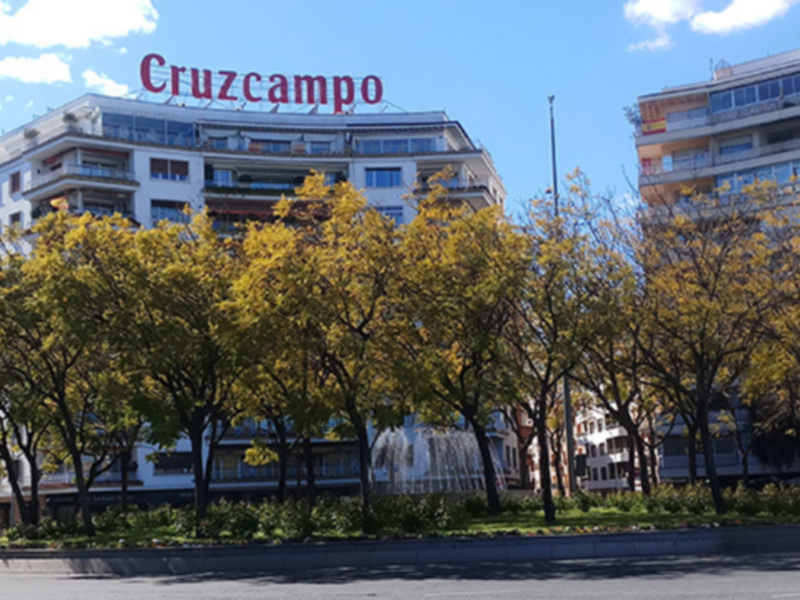 Se puede ver una calle con árboles en floración, edificios de varios pisos y un cartel de "Cruzcampo" en la parte superior. La vista es amplia, mostrando una mezcla de arquitectura urbana y naturaleza.