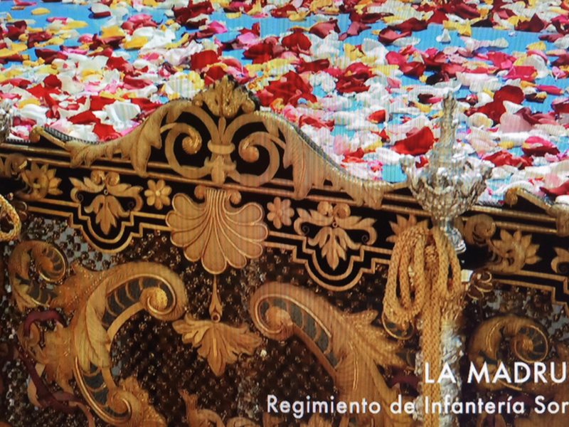 Detalle ornamental y pétalos de flores en el Regimiento de Infantería Soria 9, conocido como La Madrugada.