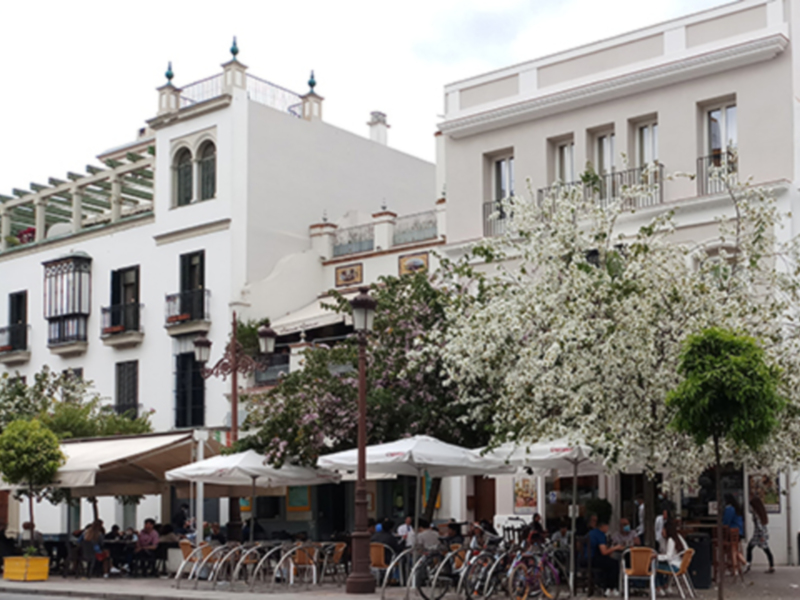 Fachada de edificios blancos con balcones y toldos. Arboles en flor en primer plano. Personas sentadas bajo los toldos.