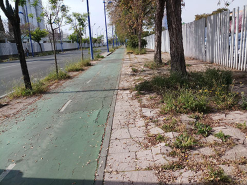 Un camino de asfalto verde con algunos tramos deteriorados, rodeado por vegetación y árboles en un entorno urbano.