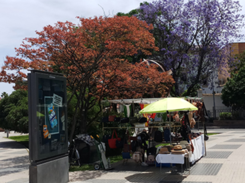 Mercado al aire libre con puestos de venta y árboles con hojas de otoño en el fondo.