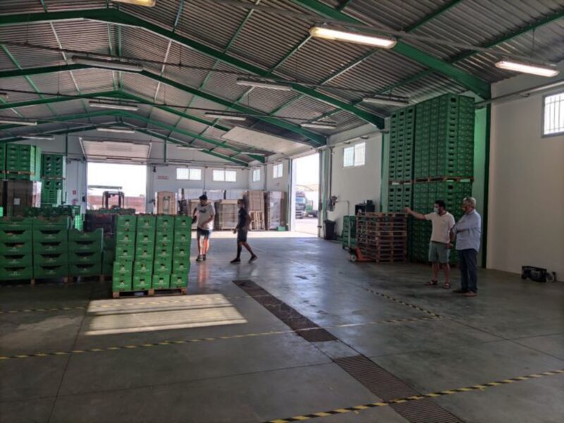 En un hangar industrial, varios trabajadores caminan entre estantes llenos de cajas verdes. La iluminación es uniforme, y las paredes son de color verde claro con detalles en negro. La imagen captura un ambiente de trabajo productivo y organizado.