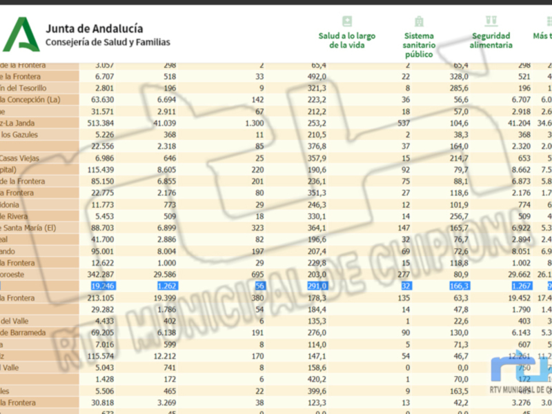Una tabla de datos con información sobre la Junta de Andalucía, incluyendo columnas como Salud a la larga de la vida, Sistema sanitario público y Seguridad alimentaria. La tabla contiene datos numéricos para diferentes áreas o entidades, como Jerez de la Frontera y San Martín del Tesorillo.