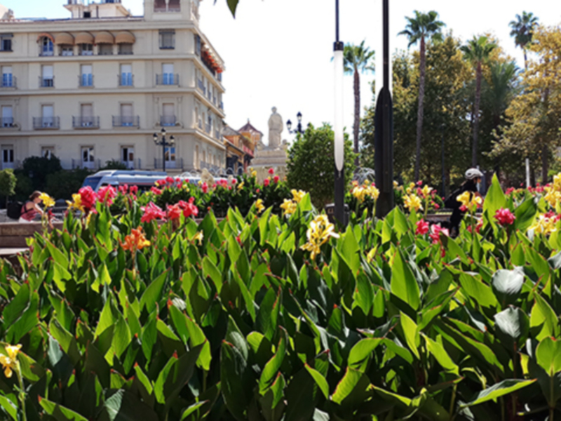 Un hermoso jardín con flores de color naranja y rosa, rodeado por un edificio histórico. La imagen muestra una vista panorámica de la ciudad con palmeras y árboles en el fondo.