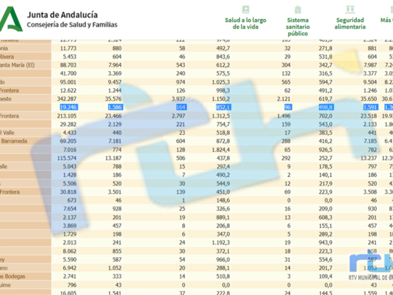 Un gráfico de Excel que muestra datos sobre salud y seguridad en Andalucía, con información detallada por municipios.