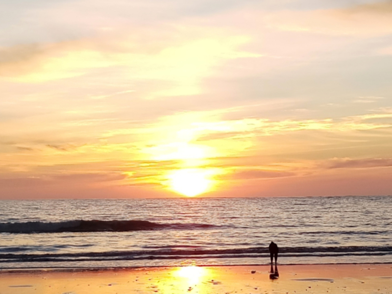 Puesta de sol en la playa con un hombre solo caminando.