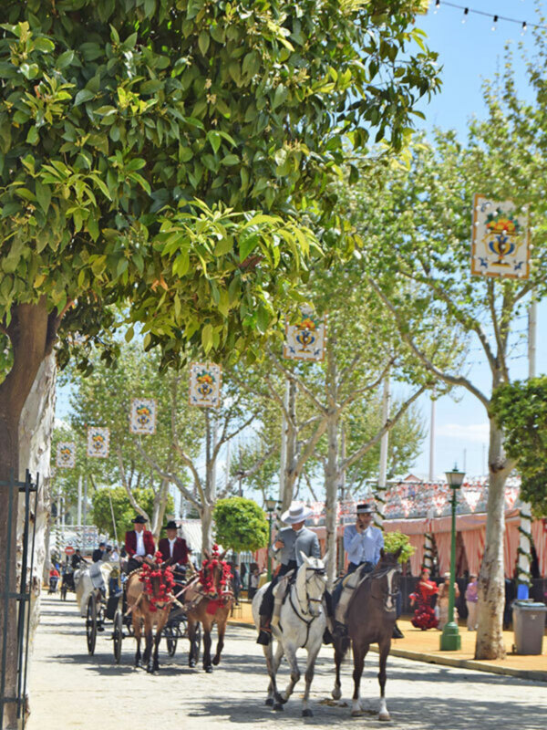 Horse-drawn carriages adorned with red ribbons and horsemen in traditional attire, passing by a tree-lined street with decorative signs.