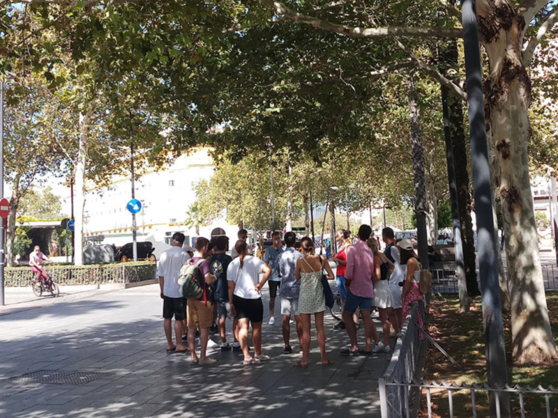 Un grupo de personas camina bajo las sombras de árboles en un día soleado.