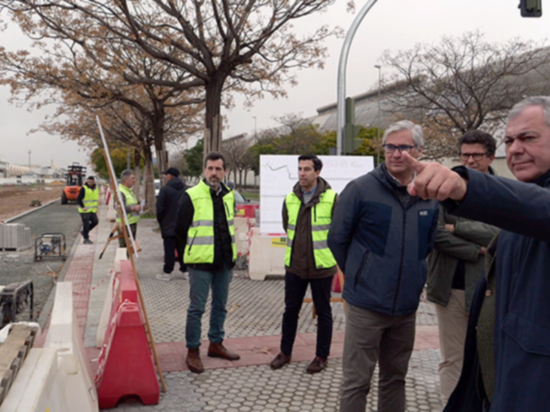 "Renovación de carriles bici en Sevilla: un compromiso del gobierno municipal"