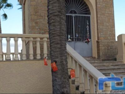 En marcha la segunda aplicación de tratamiento fitosanitario contra el picudo rojo en palmeras de los espacios públicos de Chipiona