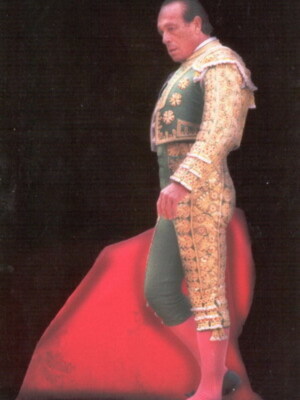 Las mejores fotos del torero sevillano Curro Romero,por Luis Laforga