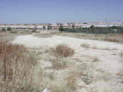 Gines: Una nueva calle facilitará la salida hacia la Avenida de Europa