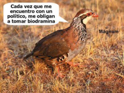 LA PERDIZ