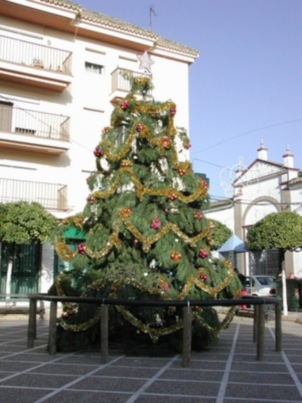 Un gran Árbol de Navidad ecológico centra la decoración navideña en Gines