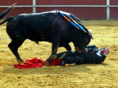 Espectacular cogida de Ortega Cano en presencia de su hijo Jose