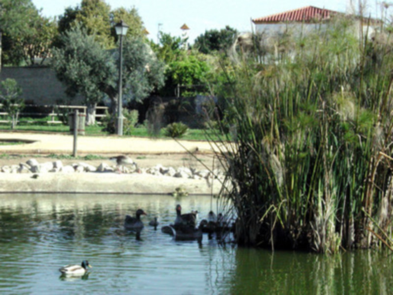 Sigue creciendo la fauna del parque municipal de Gines 