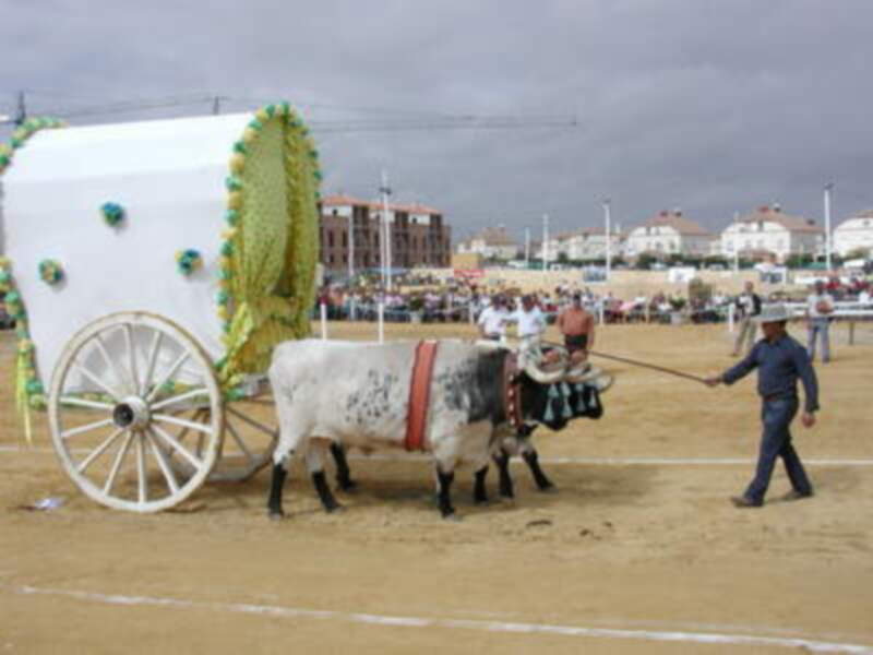 El carretero de Gines Fernando León Camino se impone en el Campeonato Nacional de Yuntas de Villamanrique