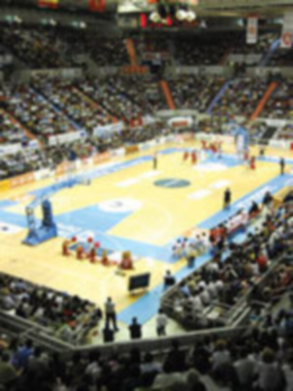 La temporada 2007-08 consagra a la Adecco LEB a nivel internacional 