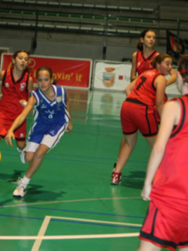 Aumentan el número de licencias y de equipos en el baloncesto español