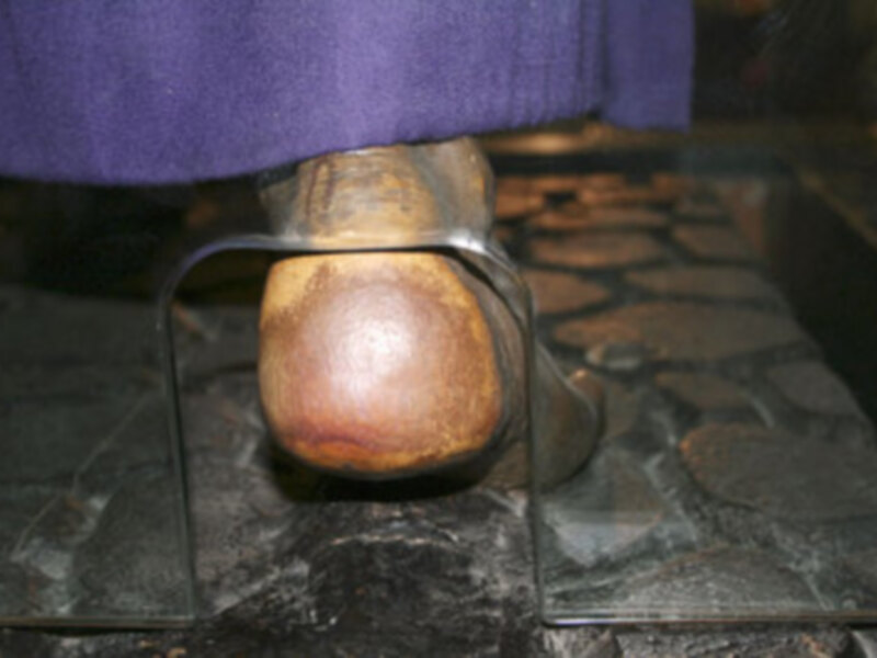 En noviembre profundizamos en las Máximas de Santa Ángela de la Cruz, en homenaje de gratitud a las Hermanas de la Compañía de la Cruz. (VI).