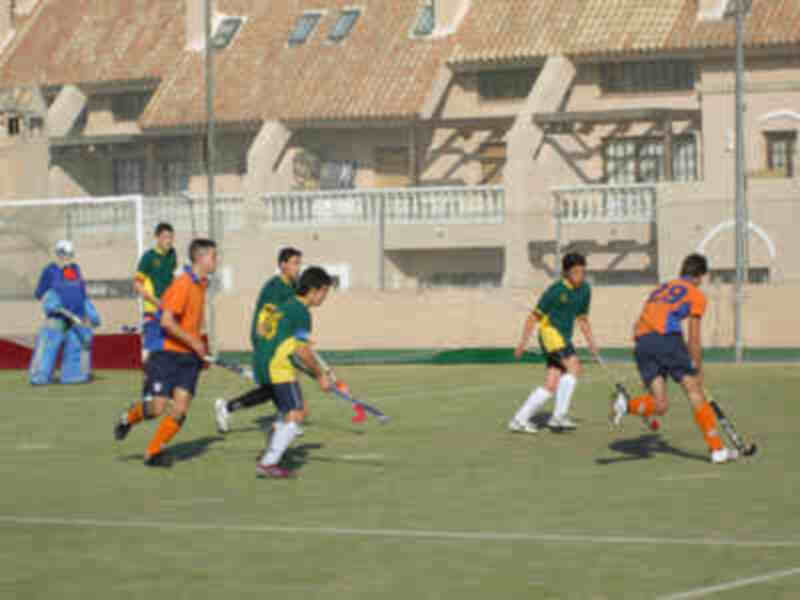Nueva derrota del Club de Hockey San Fernando ante el C.D Málaga 91