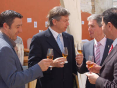 Pedro Rollán inaugura la I Feria Solidaria de la Tapa