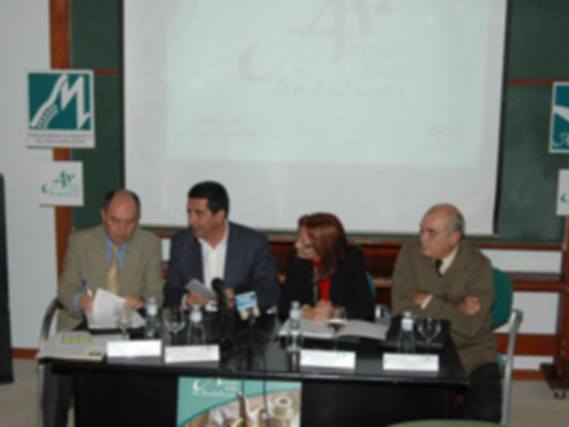 Adelquivir celebra una jornada para impulsar la cooperación y la promoción del sector de la artesanía 
