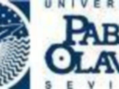 Ponencia sobre la dinámica compleja de las redes mercantiles en el mundo atlántico en la UPO.