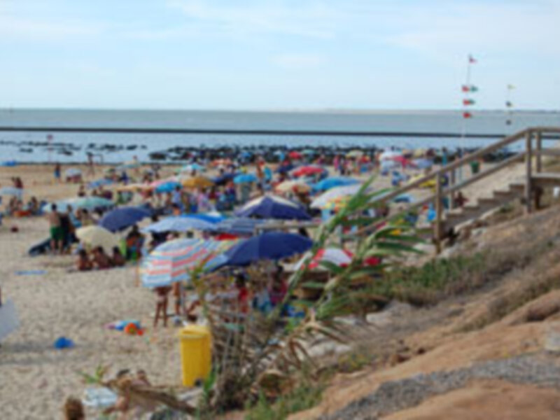 Playas de Micaela y Montijo de Chipiona  sin los mínimos servicios