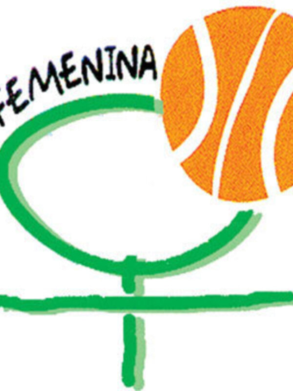 ¡Ya está aquí la Cyber Liga Femenina 2009-2010, con más novedades que nunca!