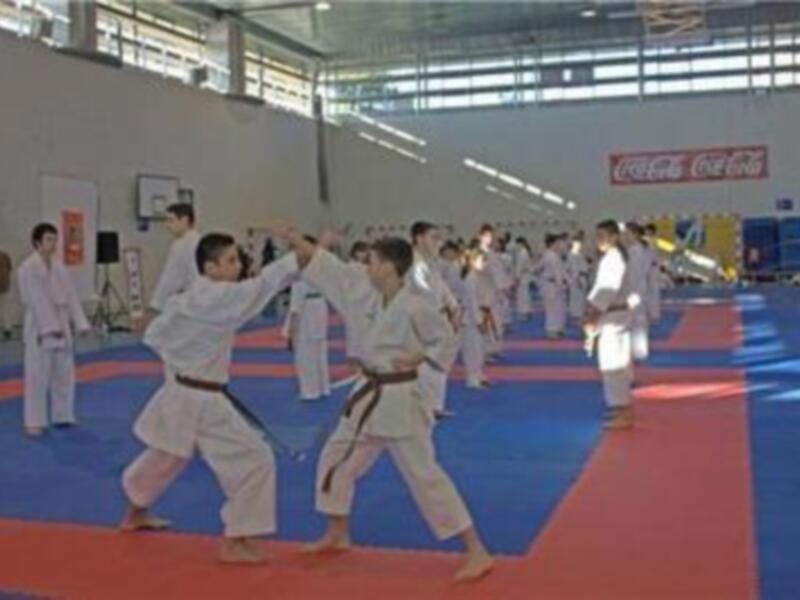 La llamada de la solidaridad en las artes marciales