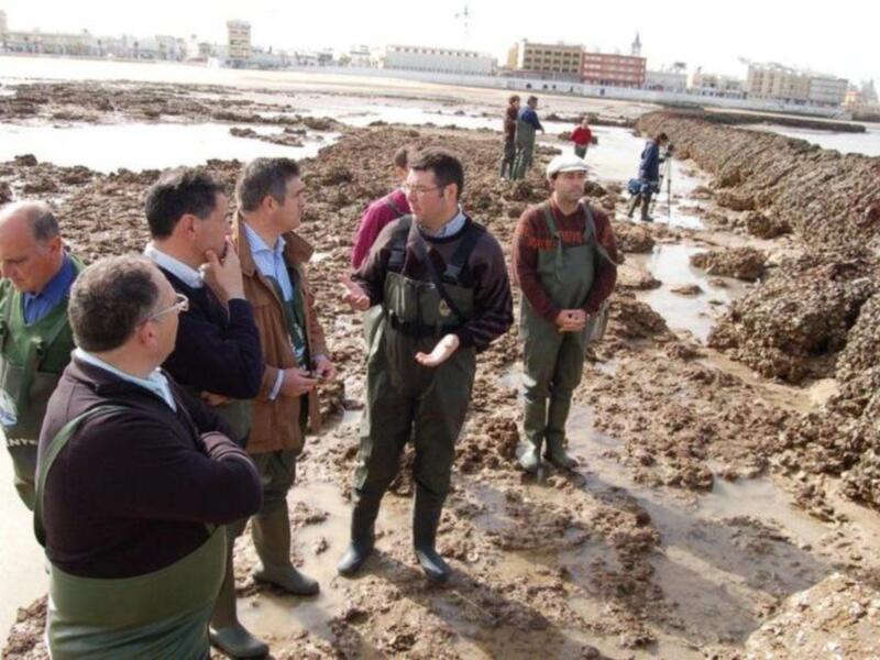 El delegado provincial de Pesca visita los corrales de marinos de Chipiona 