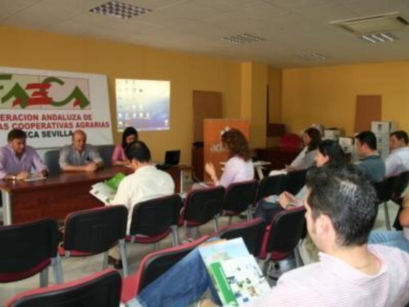 ADAD ha presentado esta mañana el programa LiderA a las cooperativas agrarias de la provincia de Sevilla