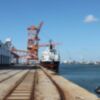 Las consultoras Ozonia y Actividad se unen para facilitar a las empresas exportadoras y logísticas de toda España su certificación como Operador Económico Autorizado