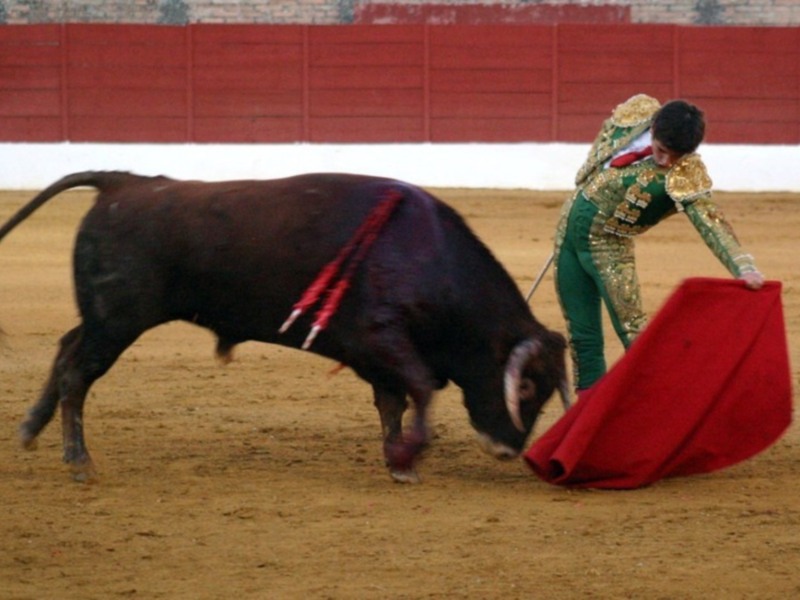 Fuertes emociones en la tercera novillada del XI Encuentro Andaluz de Escuelas de Tauromaquia de Baeza