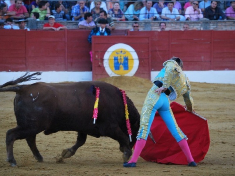 Fuertes emociones en la tercera novillada del XI Encuentro Andaluz de Escuelas de Tauromaquia de Baeza